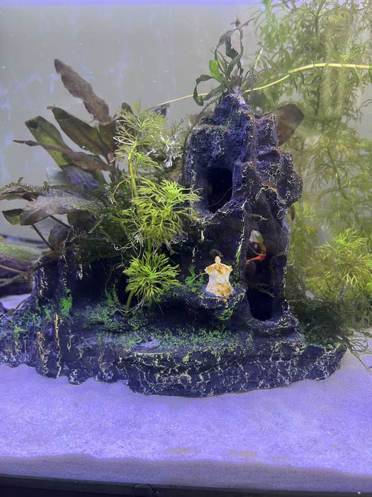 Vendo varias decoracões para aquario (ler descricão)