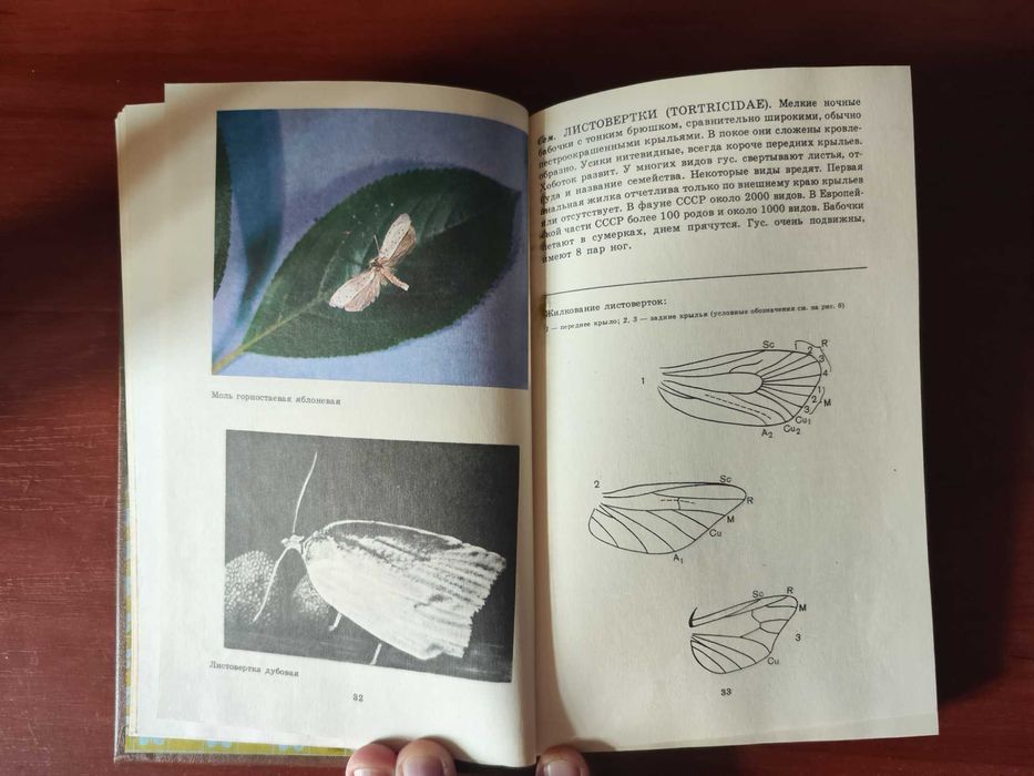 Школьный атлас определитель бабочек, М. П. Корнелио