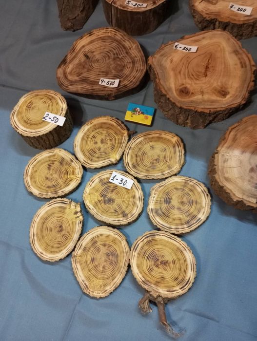 Срізи деревини з різних порід.