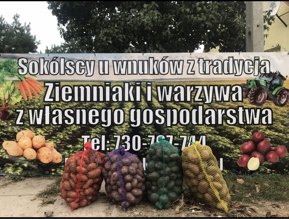 Ziemniaki z własnej uprawy
