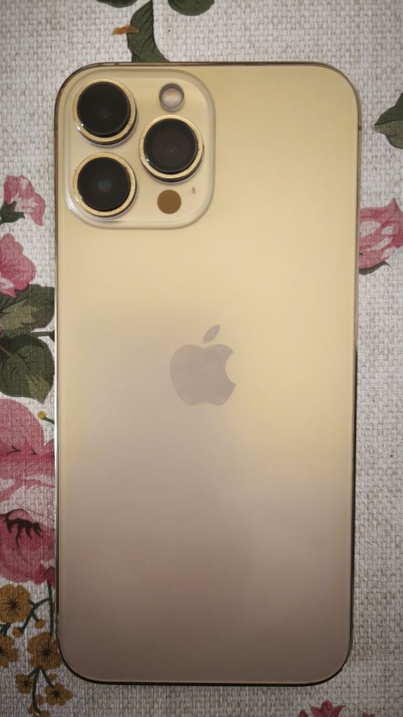 iPhone 13 Pro Max 256Gb