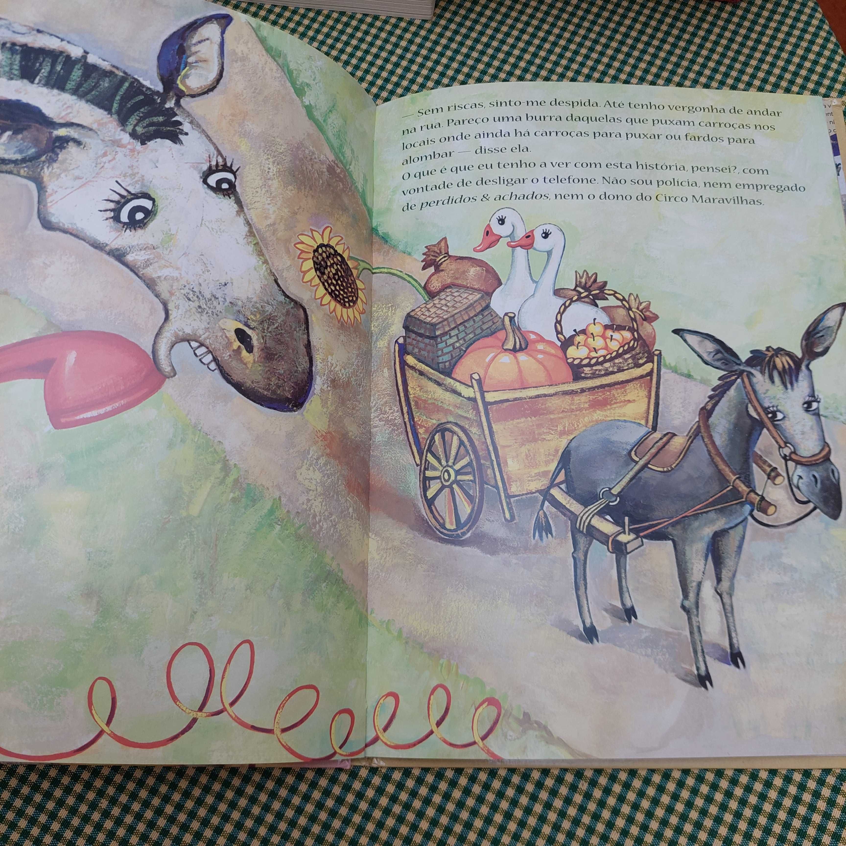 Uma zebra ao telefone, António Garcia Barreto