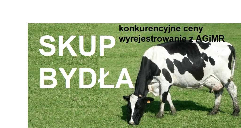 SKUP Bydła Koni Żywca !UBÓJ!