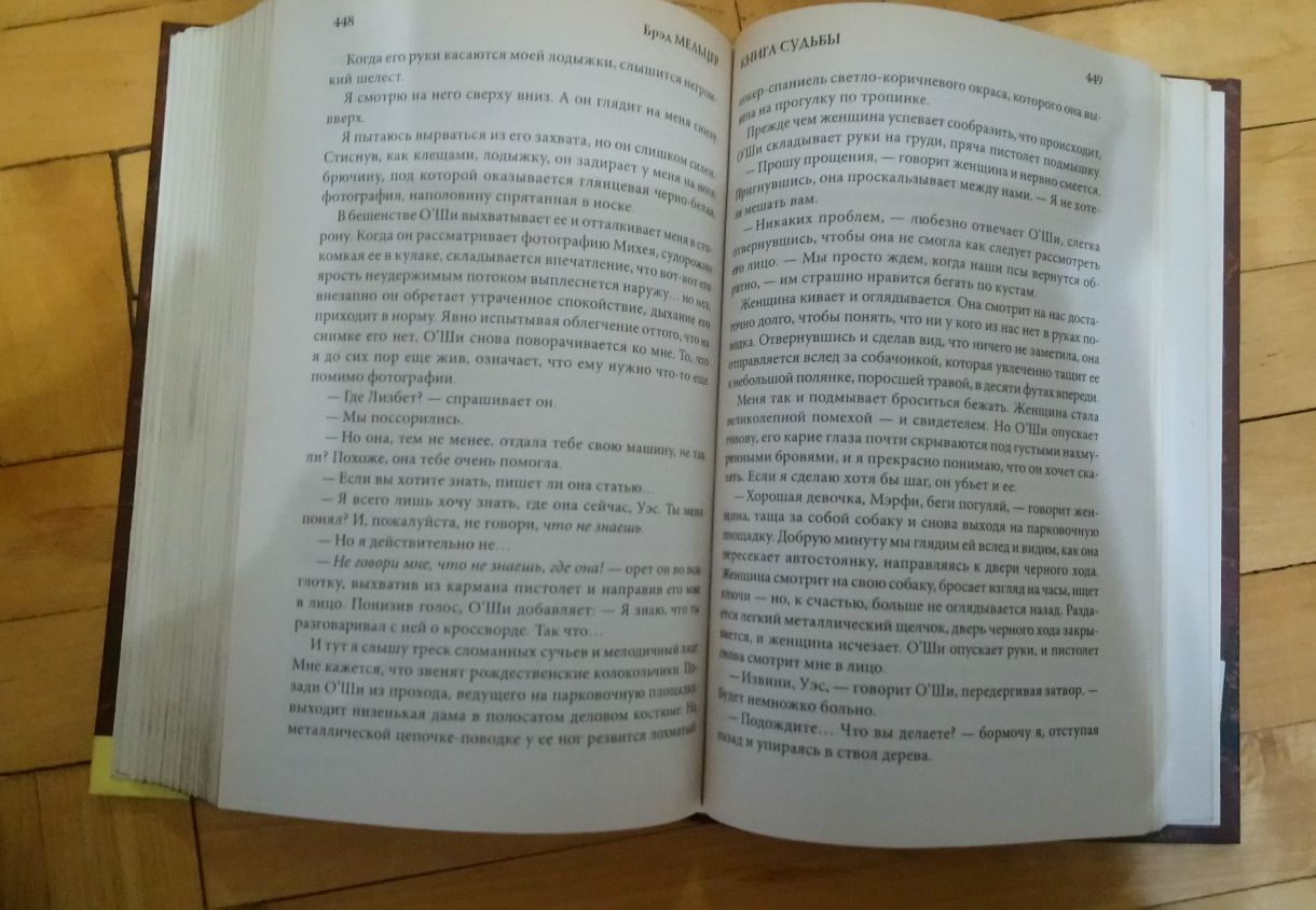 Брэд Мельцер. Книга судьбы