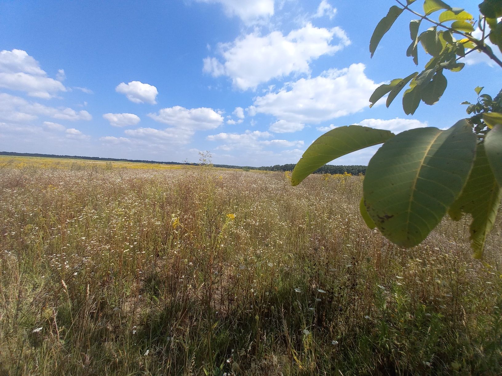 Продам участок ( под строительство) в с. Стрижавка.