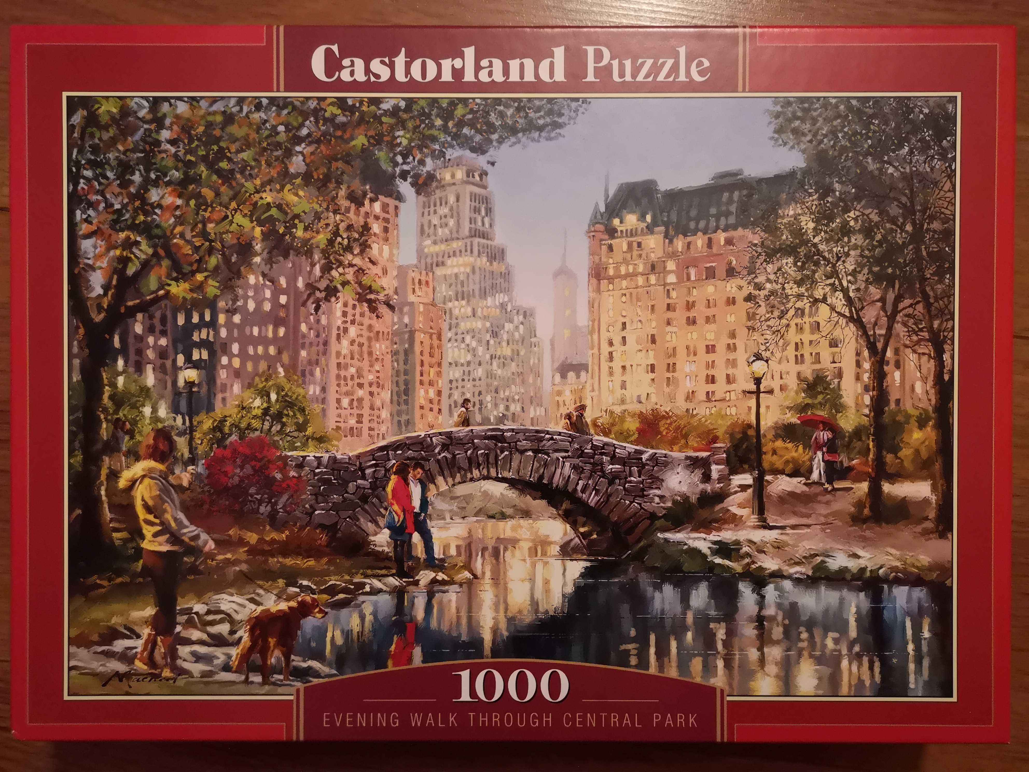 Puzzle 1000 Castorland