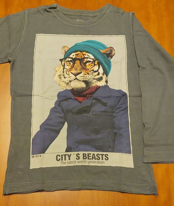 Camisola de manga comprida, rapaz 4/5 anos - ZARA