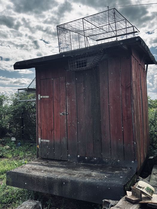 Gołębnik 66 półek