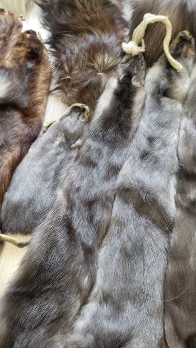 Цілий пакет з обробленими шкурами тварин. Хутро