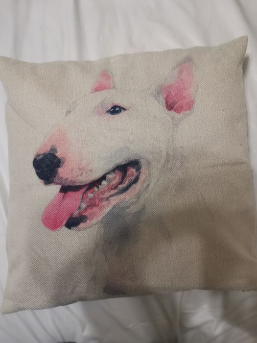 Capas para almofadas