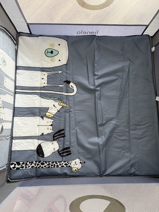 Kojec Lionelo 100x100