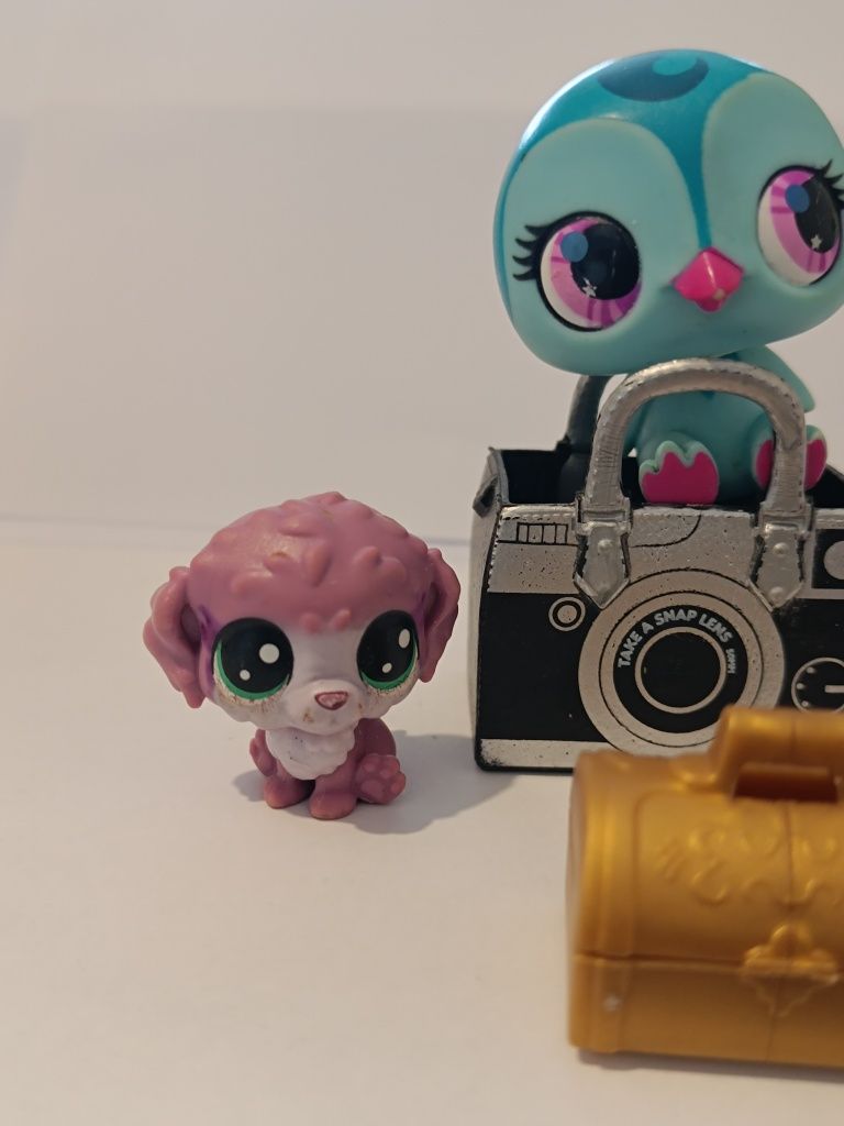 Lps Littlest Pet Shop zestaw