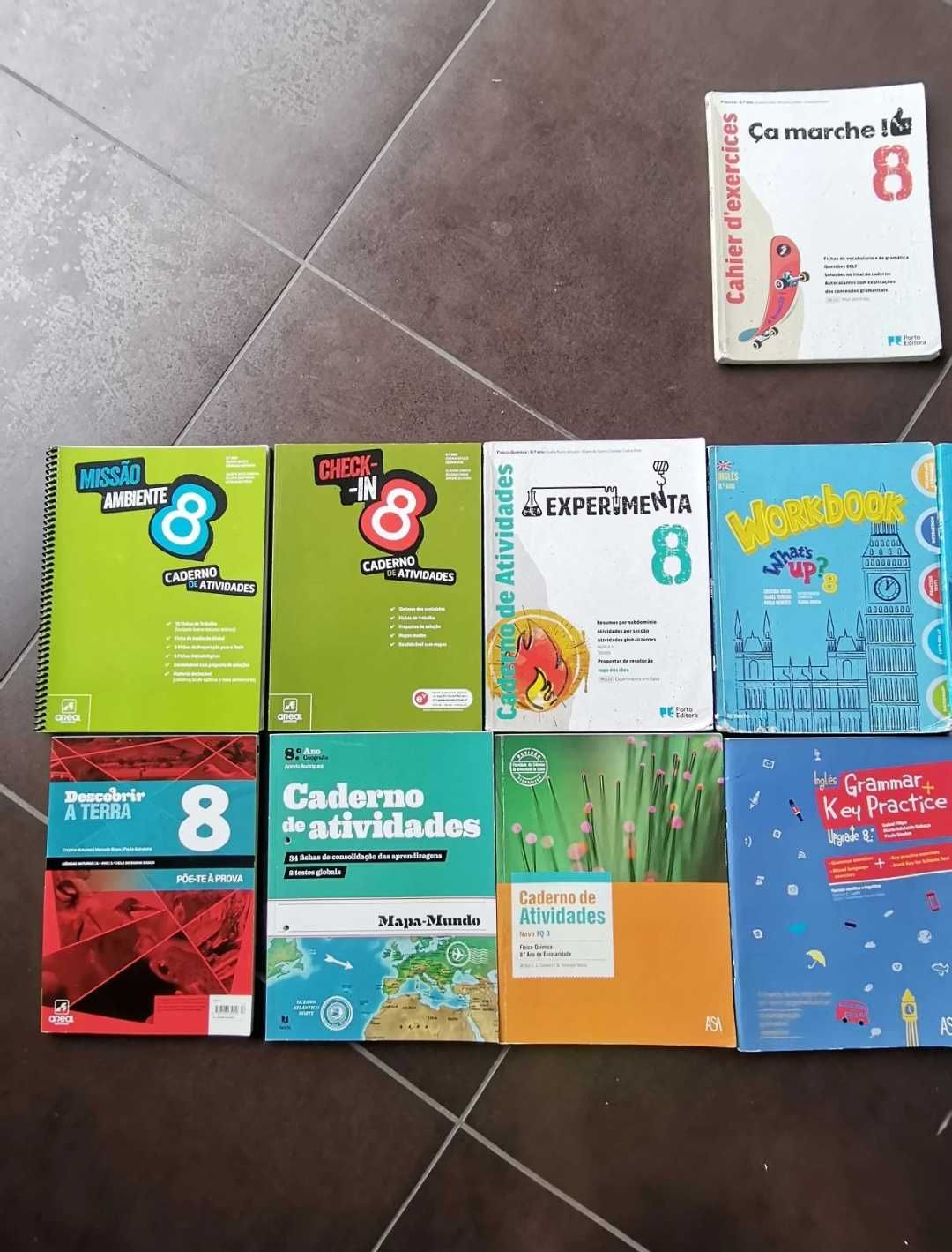 Manuais e Livros de fichas do 8°Ano