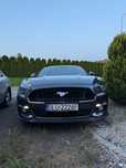 Ford Mustang Ford Mustang 5.0 V8, Salon Polska