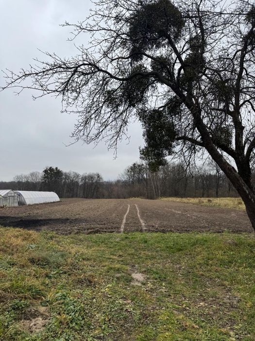 Земельна ділянка село Пилиповичі