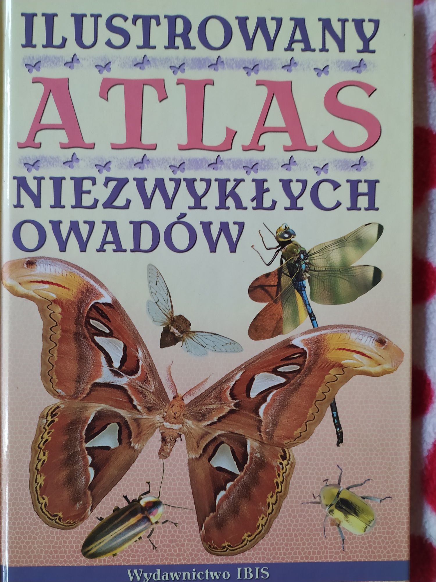 Atlas niezwykłych owadów.
