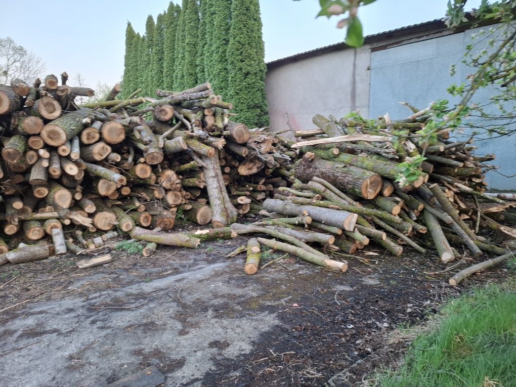 Sprzedam Drewno opalowe