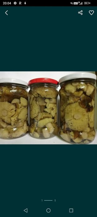 Zielonki w occie 320ml ( 4 słoiki)
