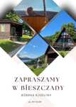 Domi noclegi wczasy Solina Polańczyk Bieszczady Domek nad jeziorem