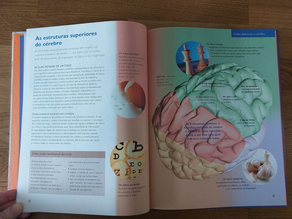 Livro Cérebro e Sistema Nervoso Central