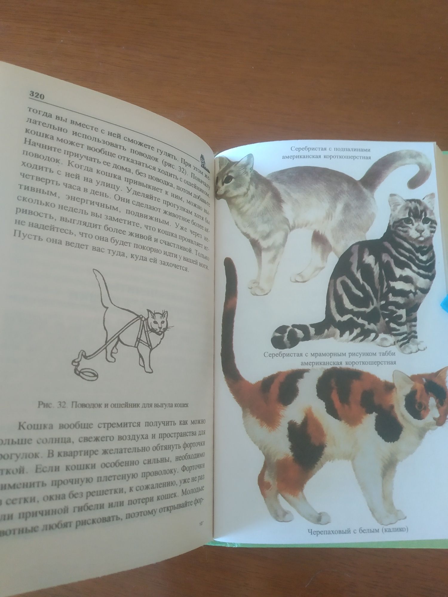 Книга"Кошка ваша"