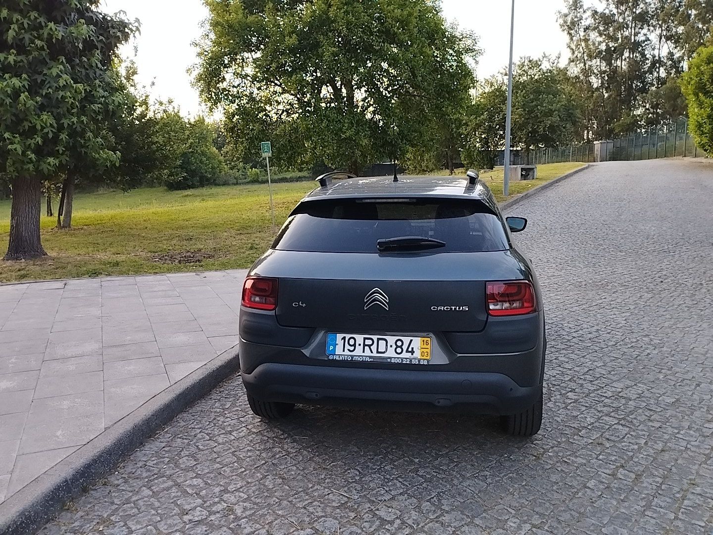 C4 cactus 1.2 puretech gasolina
