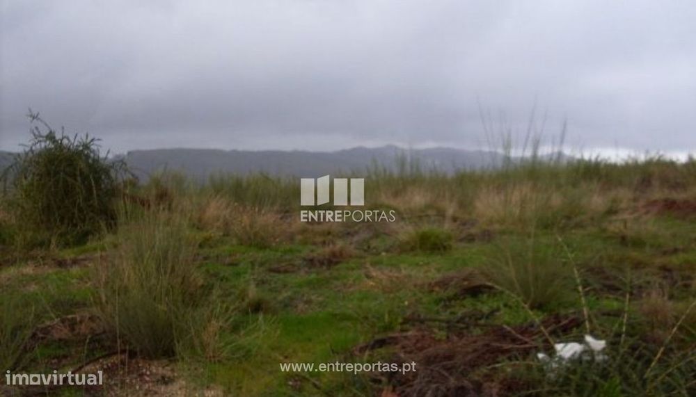 Venda Lote, Grilo, Baião