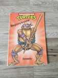 Teenage mutant hero Turtles magiczny kryształ Donatello komiks