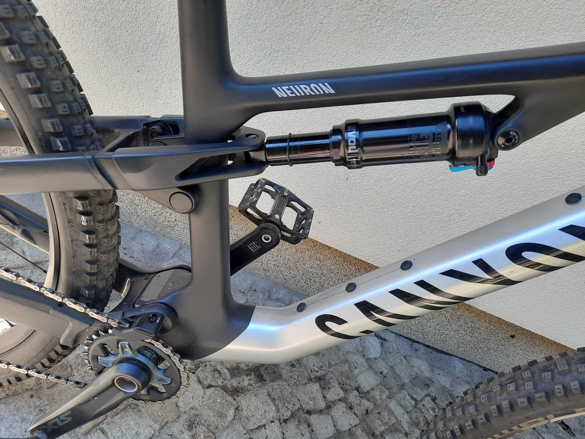Rower Canyon neuron cf 8
