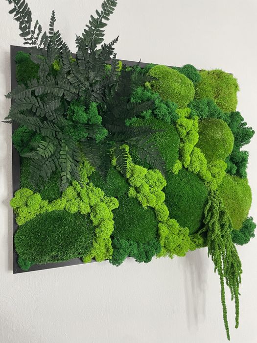 Obraz z mchu, prezent, dekoracja