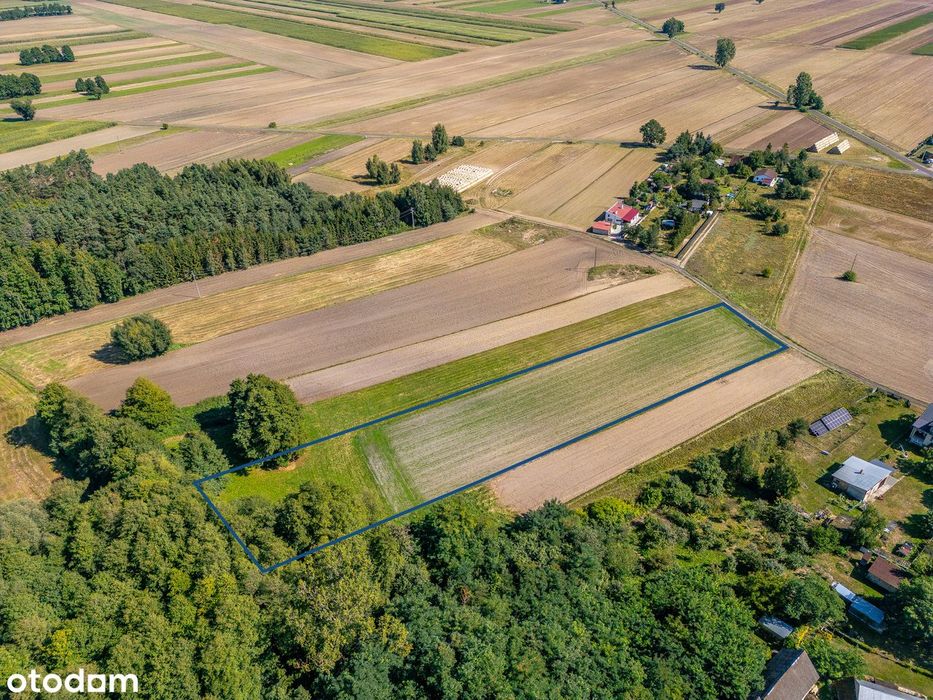 Działka budowlana przy lesie z WZ | 6400 m² | 10 min do Term Uniejów