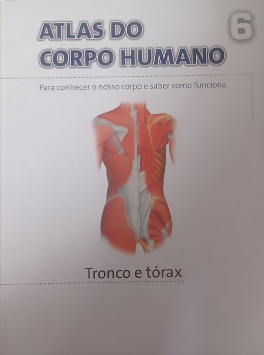 Altas do corpo humano 15 livros
