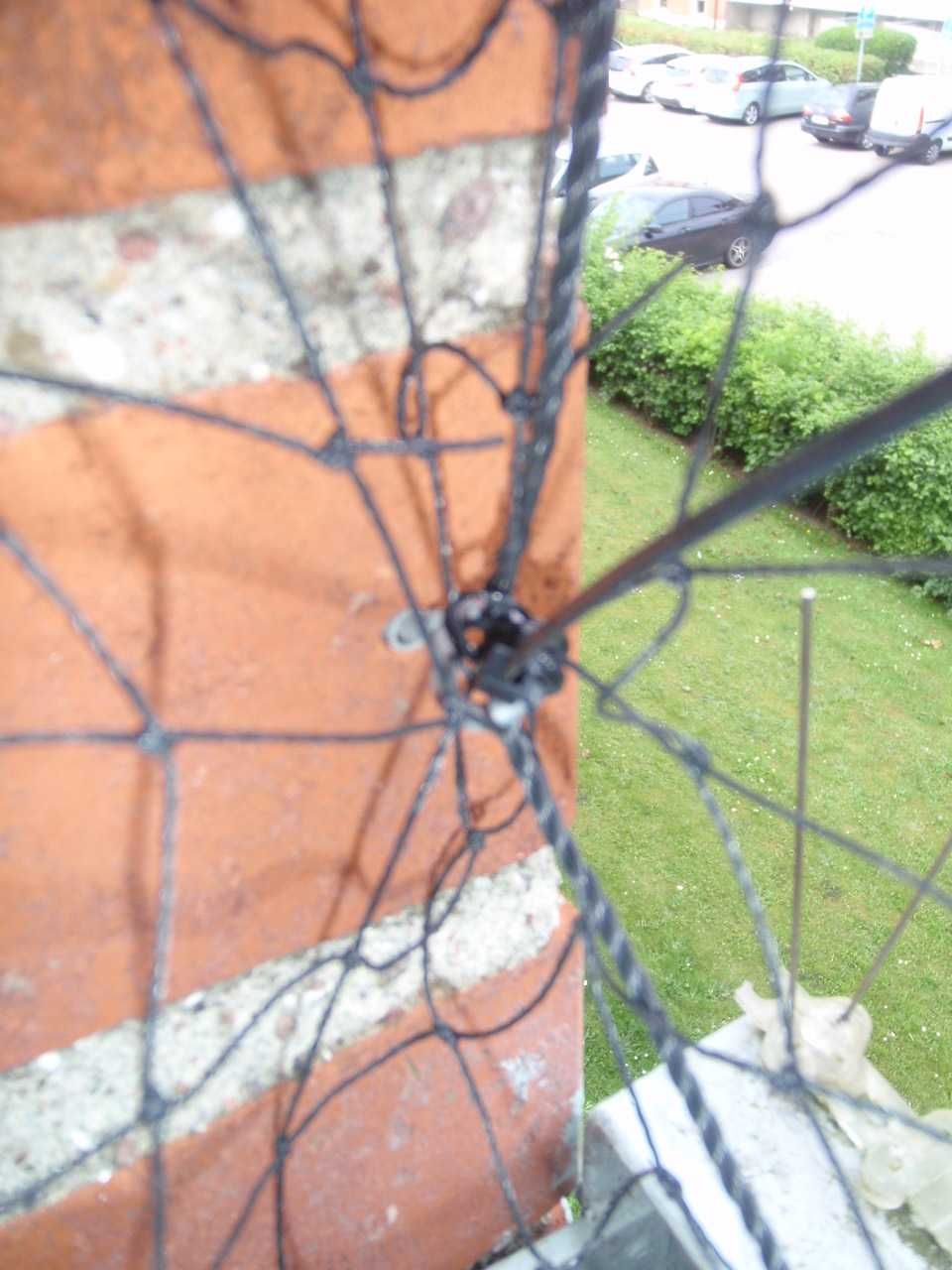 Ochronna siatka balkonowa. Golebie, koty