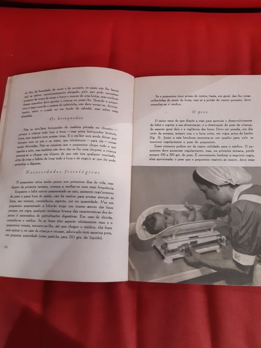 Antigo livro década de 60 "Às Jovens Mães" editado pela Nestlé