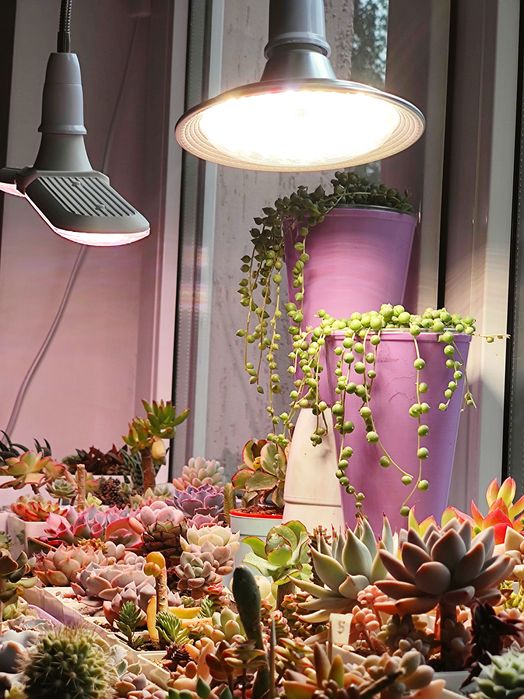 Фітолампа світильник для рослин повного спектру біле світло