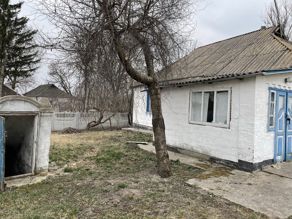 Будинок в київській обл. с. Брилівка