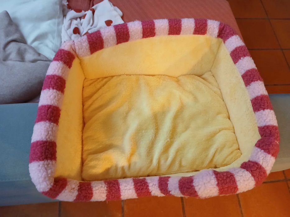 Cama pequena cao/cachorro