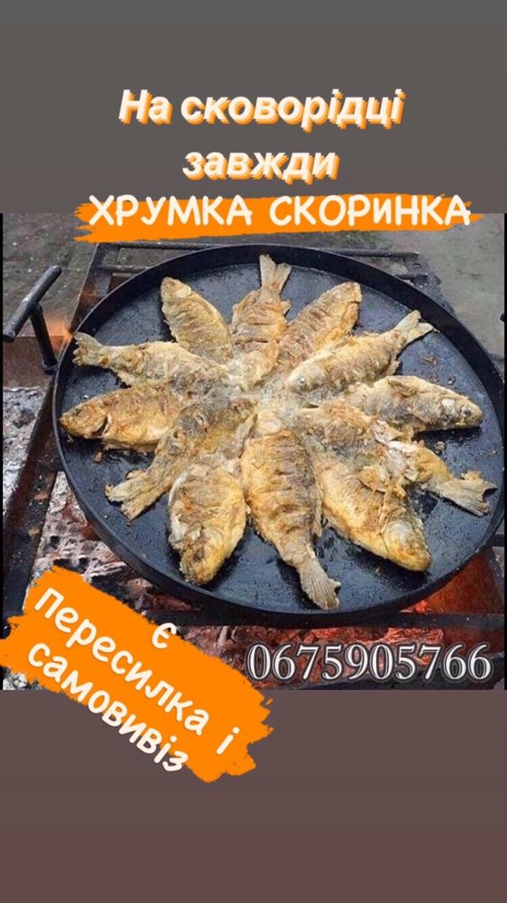 В наявності! Сковорода з борони, садж, жаровня, борона