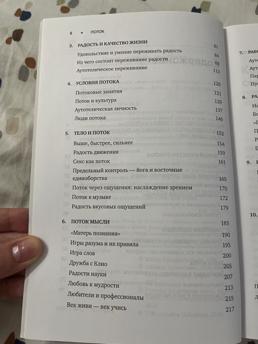 «Поток», Михай Чиксентмихайн