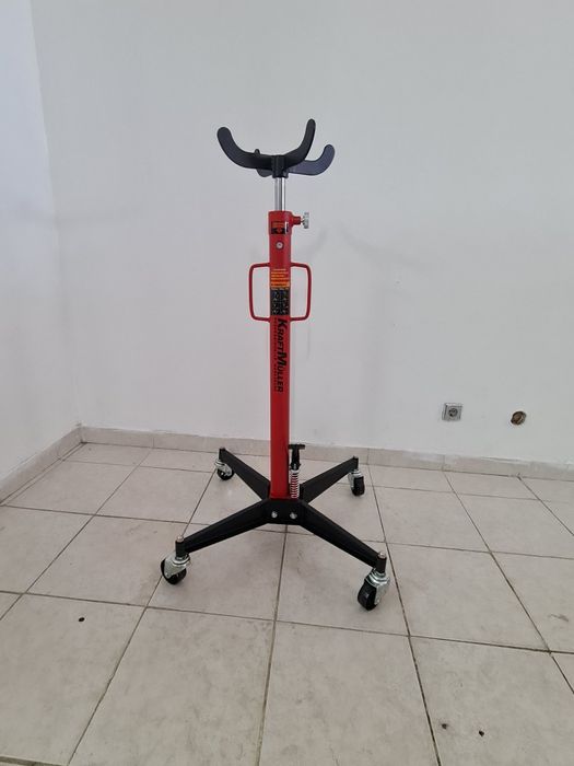 Macaco de França novo