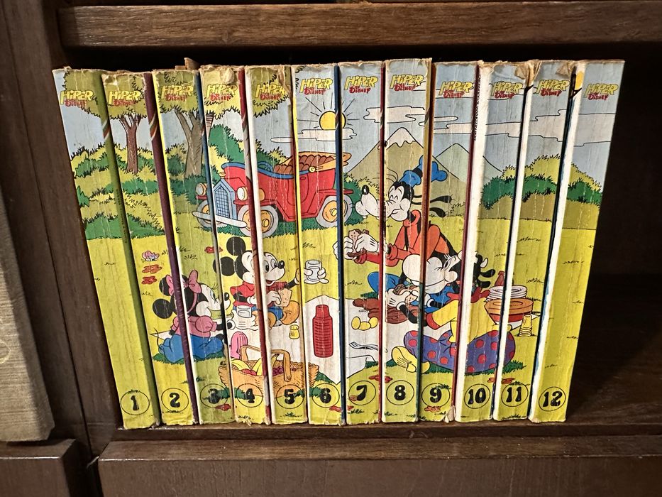 Coleção Hiper Disney Anos 80/90 12 volumes