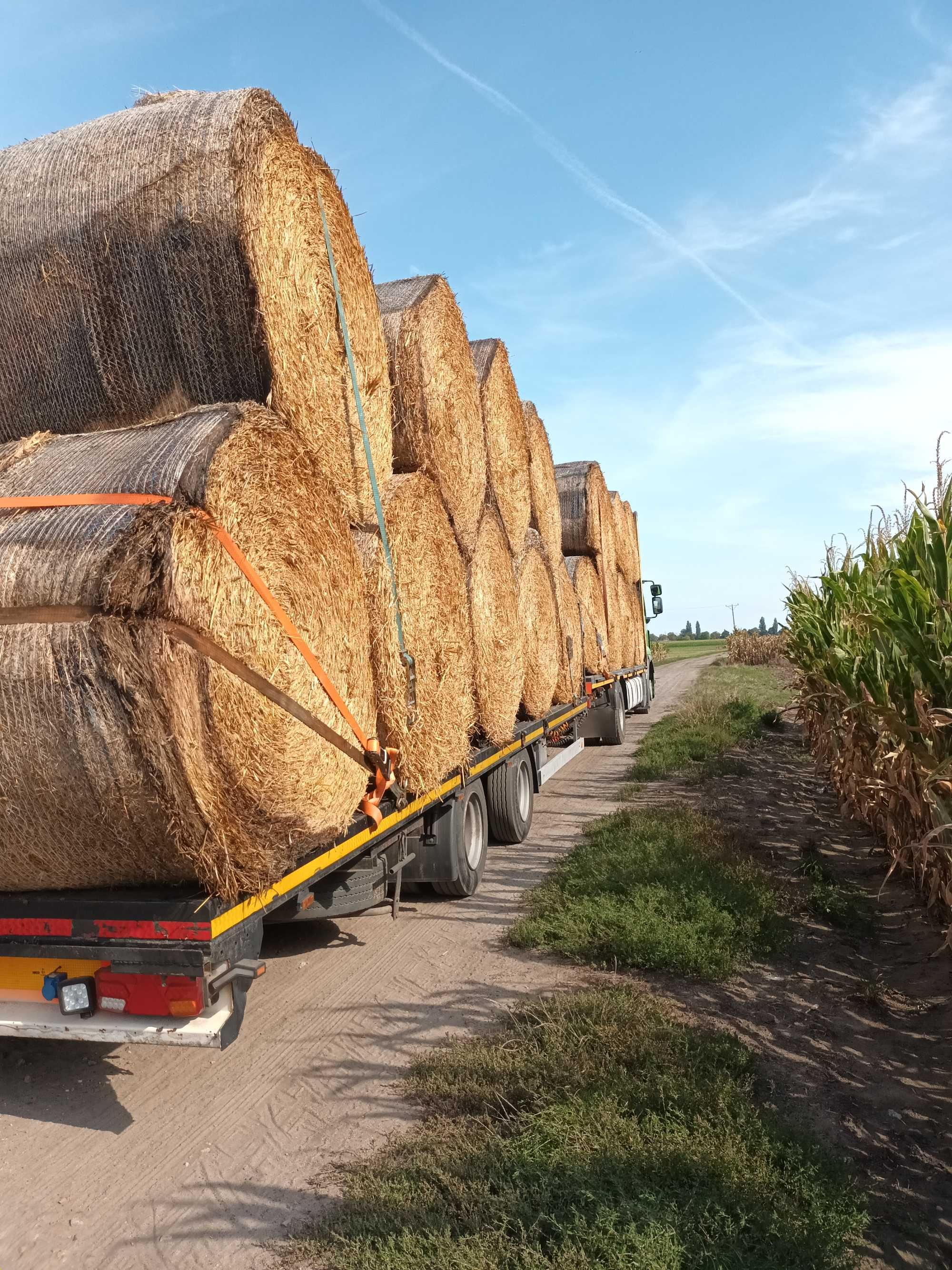 Transport Maszyn Rolniczych i Budowlanych,