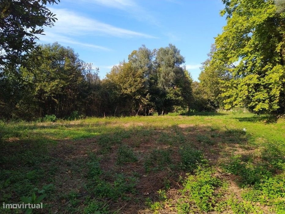 Terreno Agrícola - Fiscal