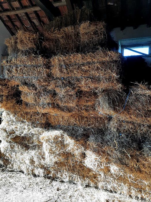 Vende-se Feno            .