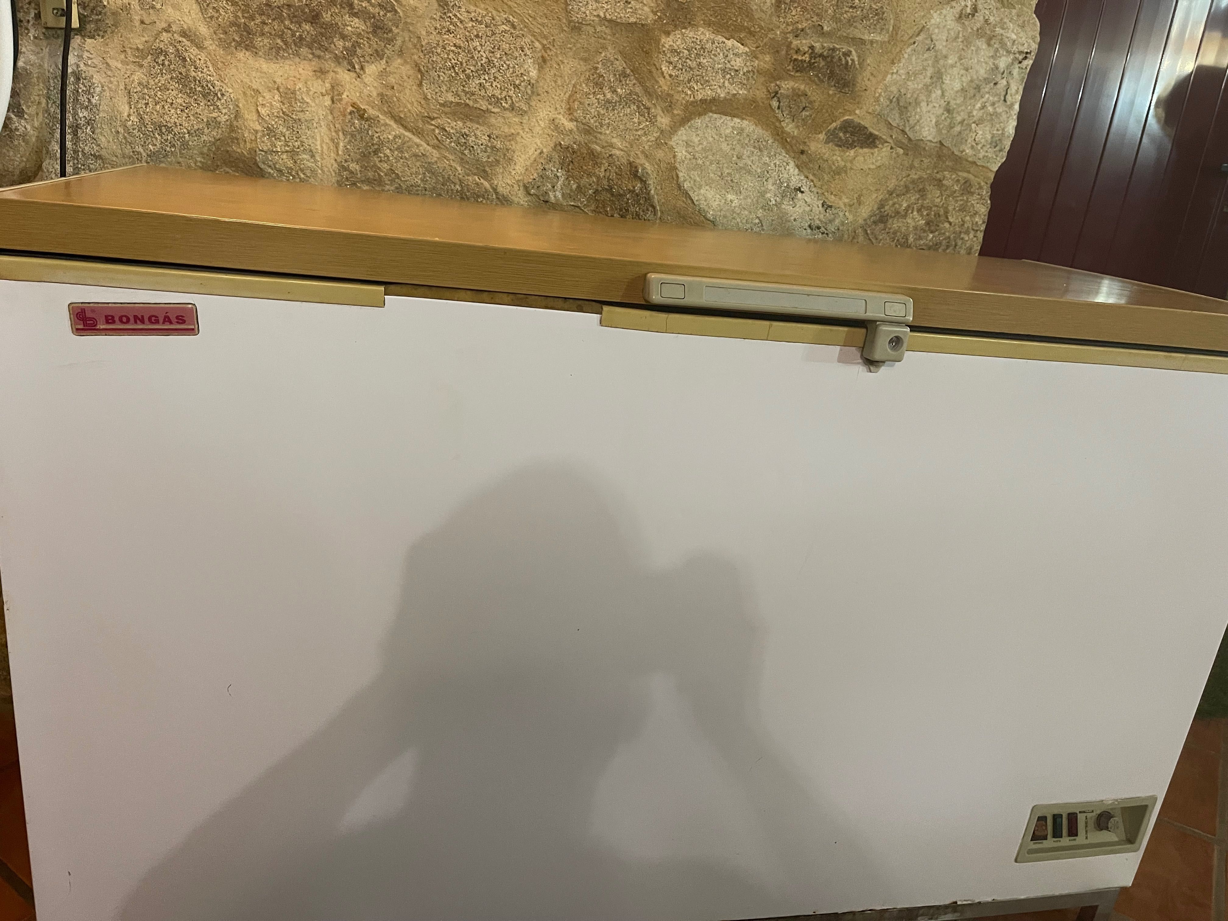 Arca Frigorífico Bongás