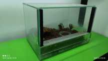 Terrarium 30x20x20
