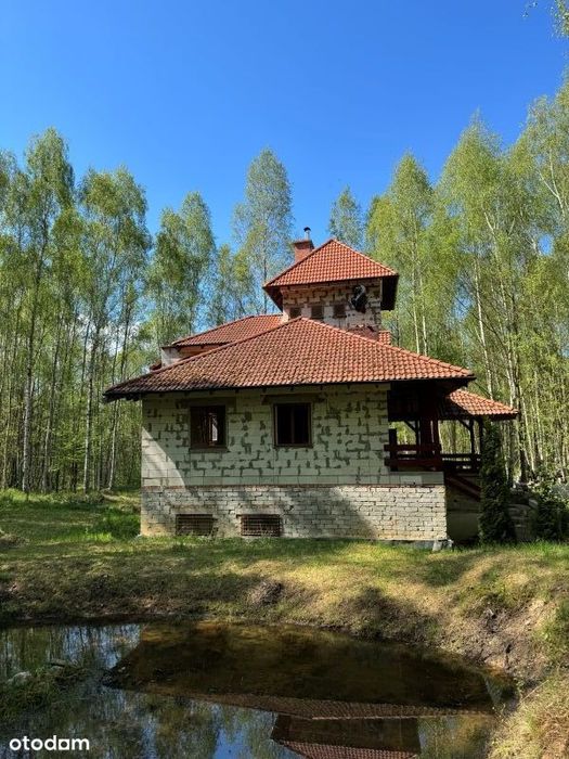 Dom położony w lesie w Jerzmanowej na działce 3ha