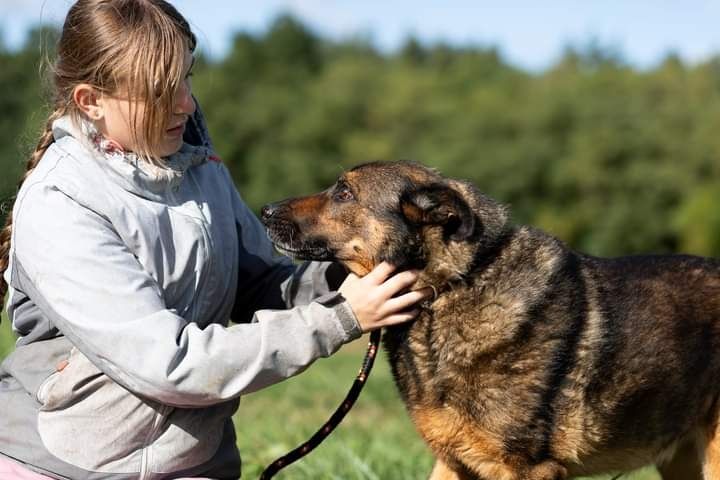 Bure psisko o imieniu WERON czeka na swojego człowieka!
