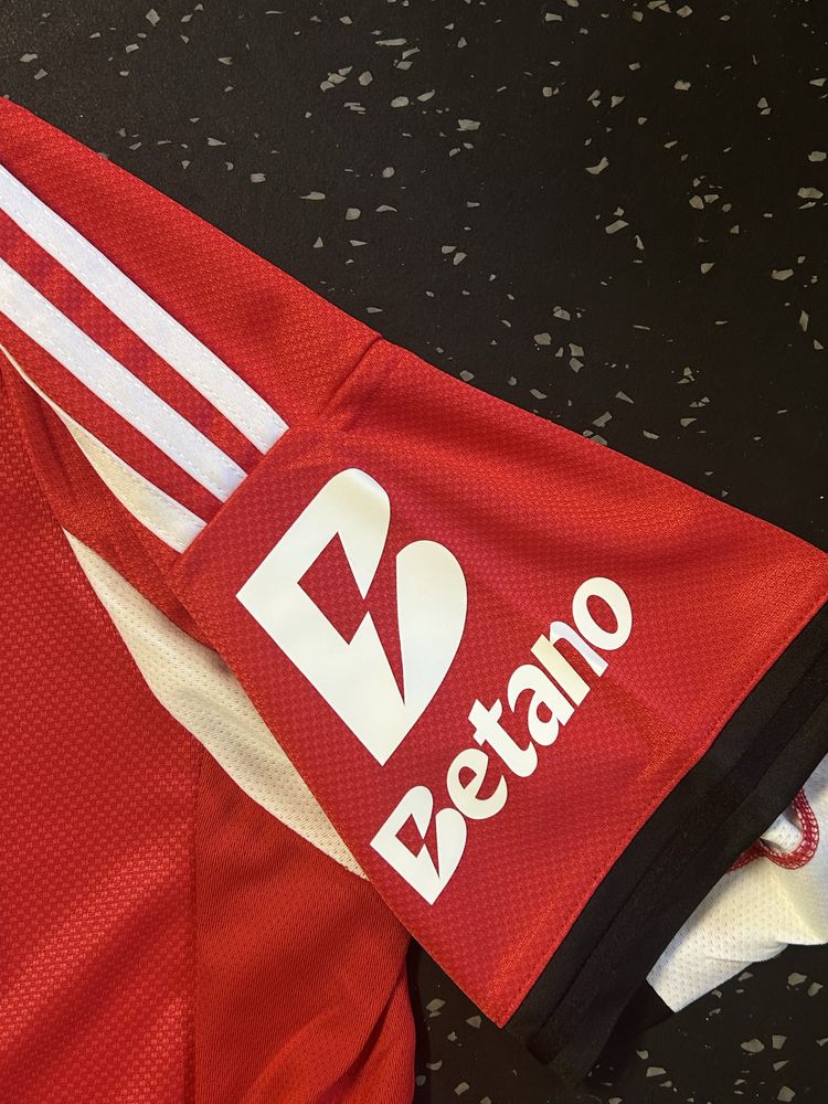 Camsiona benfica Size XL epoca 25/26