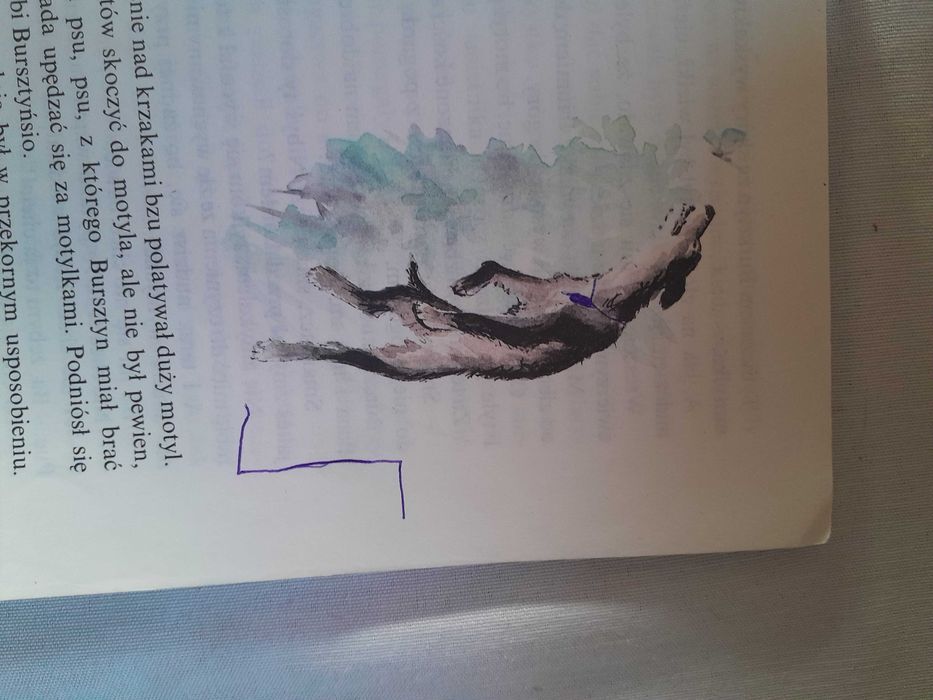 "Puc, Bursztyn i Goście" J. Grabowski